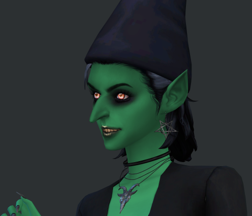 More Stardew NPC Sims: (mouse Hat Vendor, Travelling Merchant, The Witch, Bookseller)