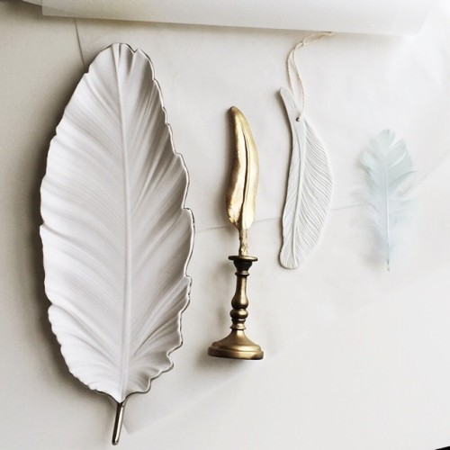 My feather collection is slowly expanding.