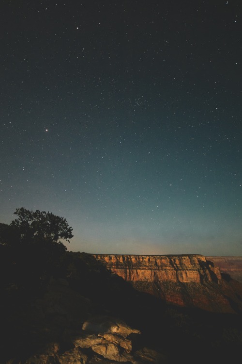 jaymegordon:Grand Canyon by Moonlight II ➾ Jayme Gordon