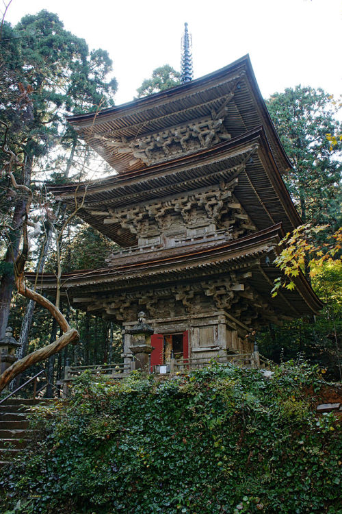 fromthefloatingworld: 明通寺