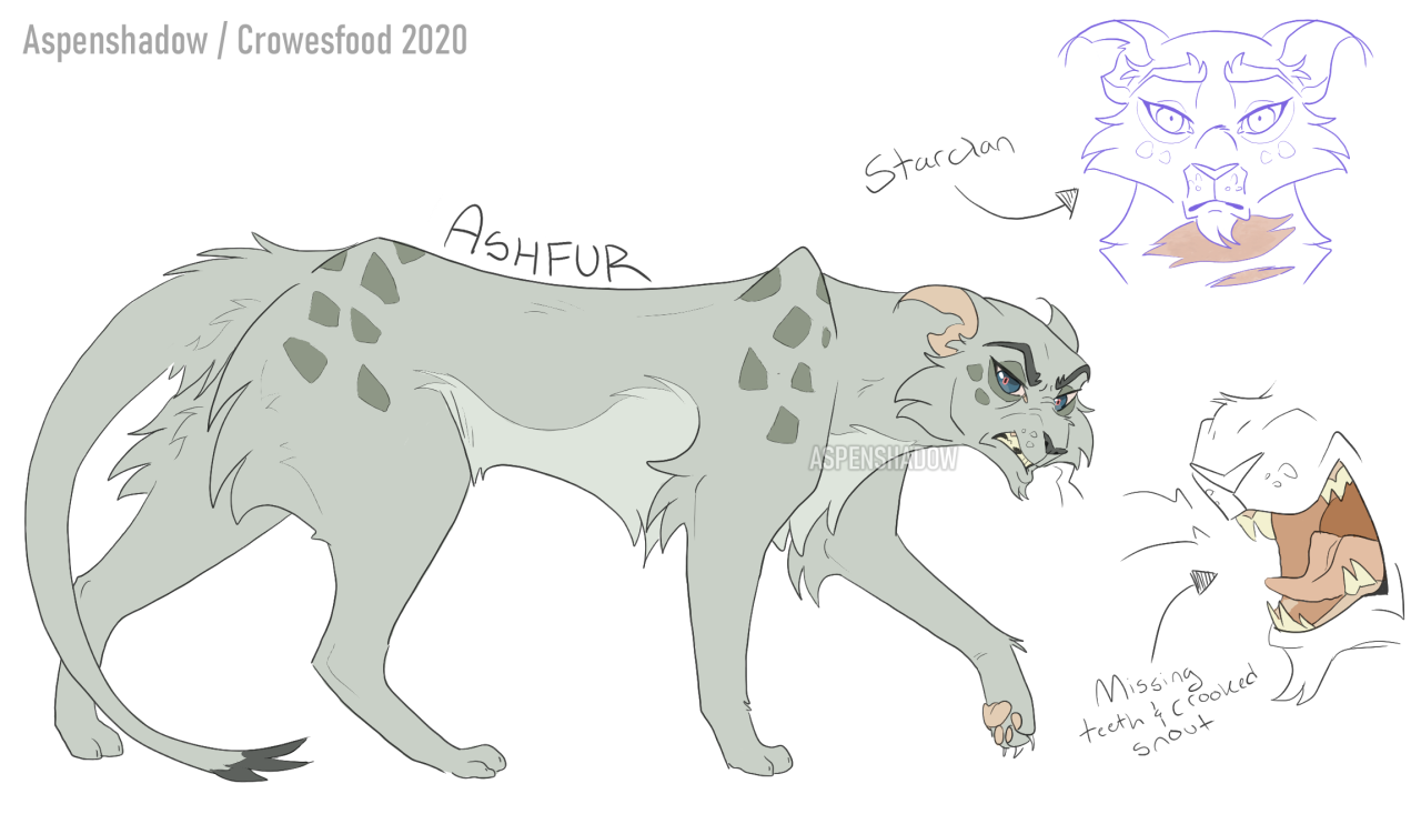 Hate•Ashfur•Warrior Cats fanart (sketch) by Katana_in -- Fur Affinity [dot]  net