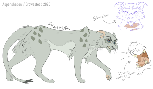crowesfood: Ashfur Ashfur’s admittance to Starclan was hotly debated amongst the cats, but the