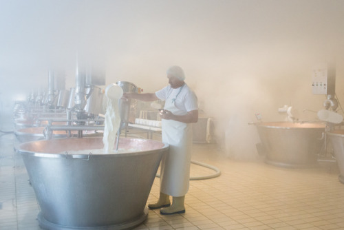 A Parmigiano Steam BathLocation: Castelnovo Sotto, ItalyWhile count ourselves amongst the world’s mo