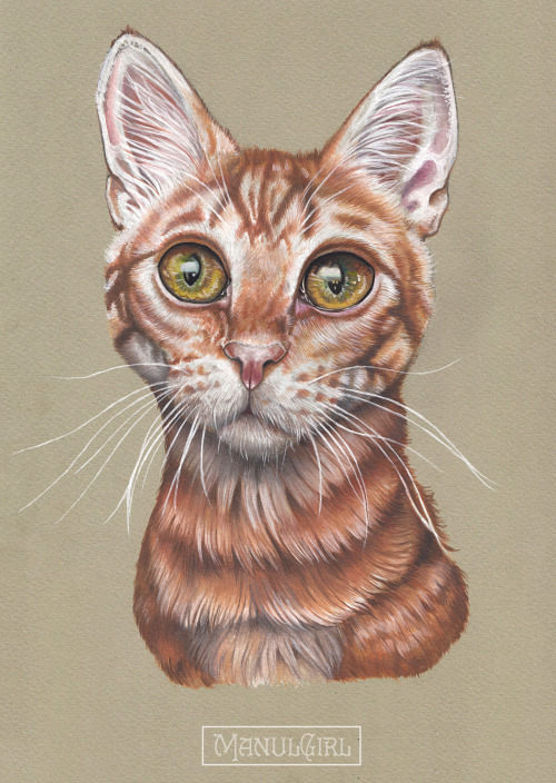 Portrait of a red cat. Watercolor on colored paper.