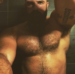 bearlywill.tumblr.com post 156519062126