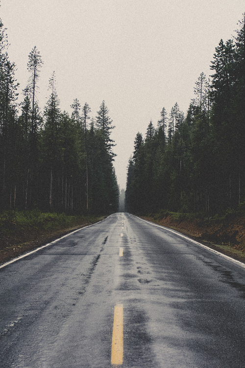 owakolf:  Nature Blog 