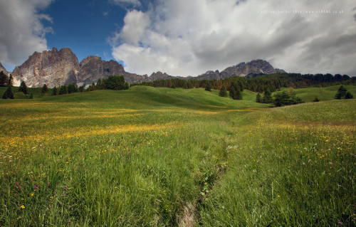 Taking the summer with us in the Dolomites, Venice!+1/Circle me...