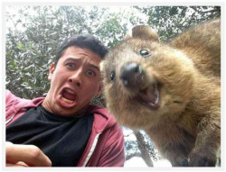idealixtic:  The 15 Most Perfectly Timed Selfies Ever Taken wow this is amazing i love #1 and #14 bahaha check it out! omg 