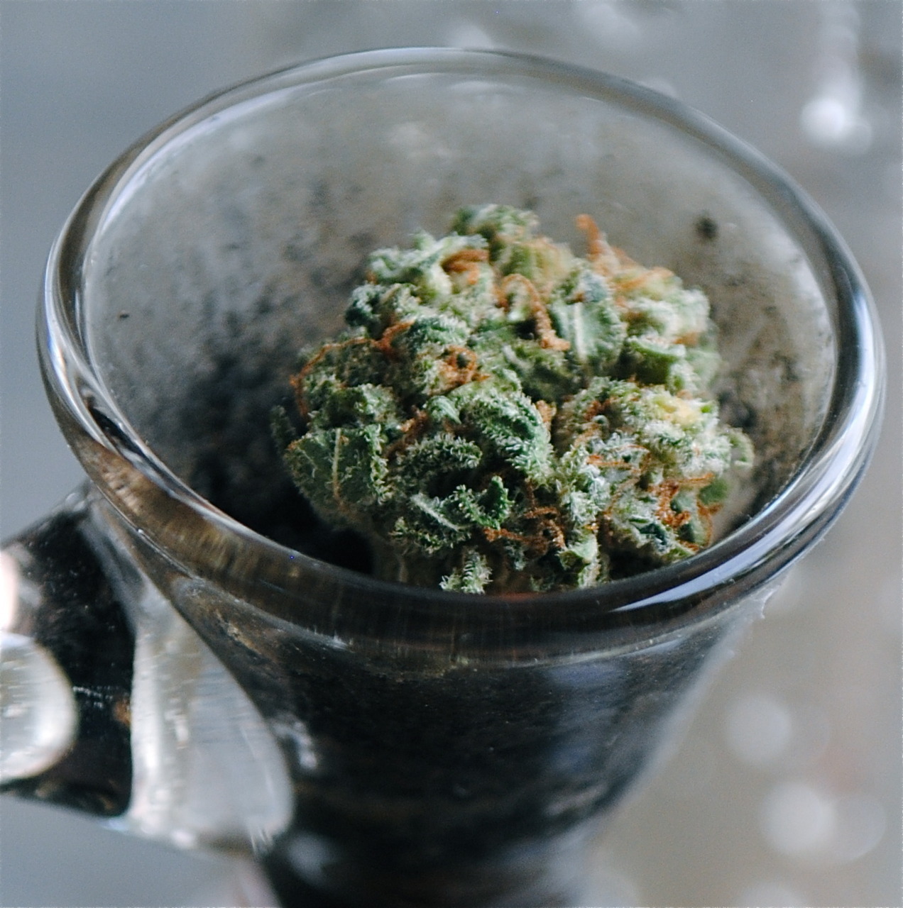 Weed Palace