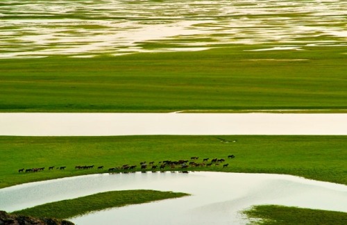 Spring Of Tianshan (The Heavens Mountains)