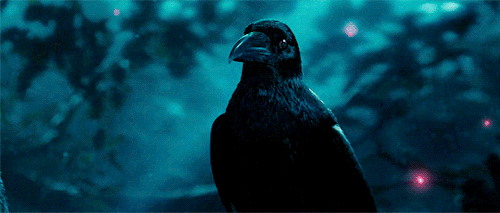 disneyliveaction:I remember you. Pretty bird.