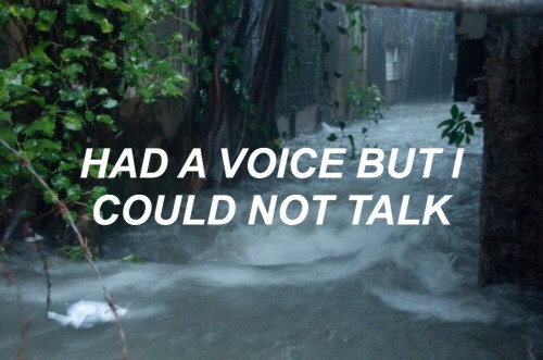 allcapslyhrics:Bird Set Free // Sia