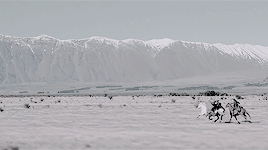 nimloth:  The Lord of the Rings: The Two Towers  dir. Peter Jackson    Look to my