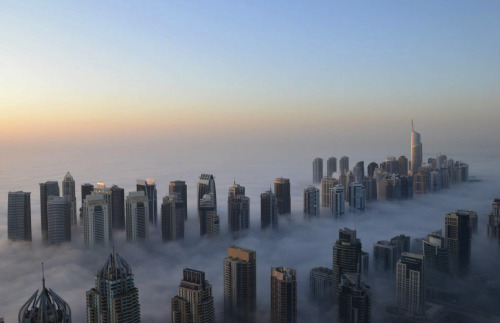 Porn photo  fog over (click pic) dubai (photographed