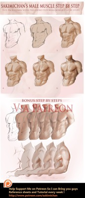 sakimichan:  sakimichan:  Male muscle step by step tutorial Bonus psd and video tutorial for my pateon supporters :3http://www.patreon.com/creation?hid=1362680&amp;rf=371321 All Patreon reward Archive ►http://sakimichan.deviantart.com/journal/Patreon-Rewa