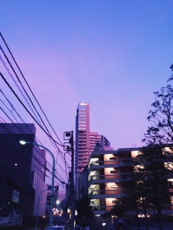 alext:  Purple tower 