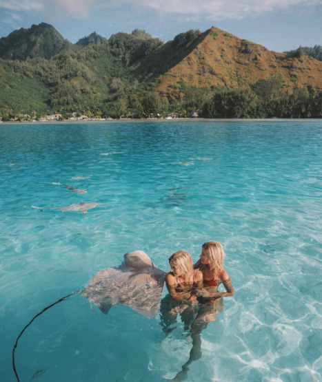summer-spirit:  ☀🌴🌊