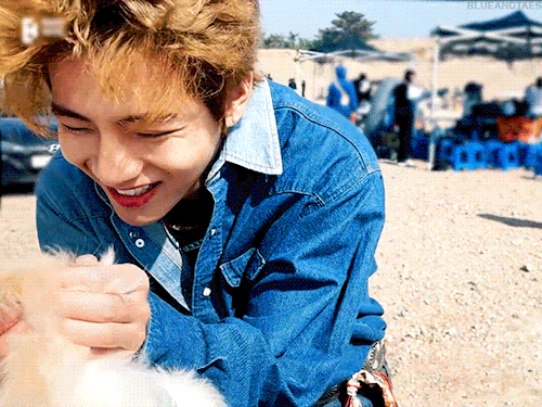 Dog Life Goals:to Be Called A Cutie By Kim Taehyung Status: Achieved