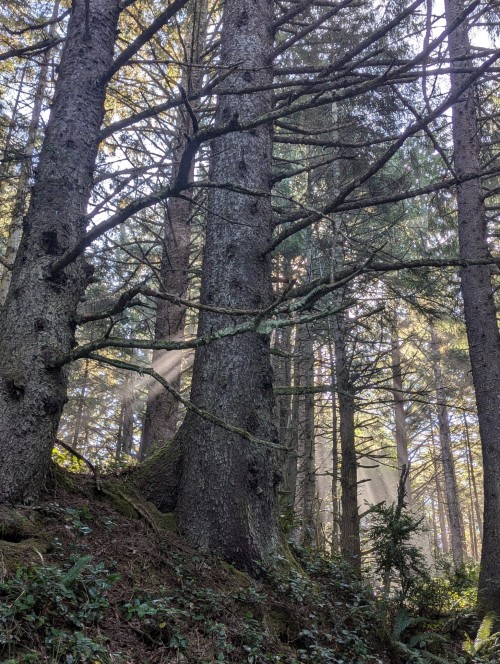 Lovely Sights Today On The Oregon Coast...