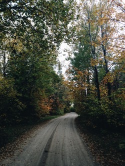 Pir-Ado:  Sommerlanding: Clearly Forest Roads Are My Favorite Things To Photograph.