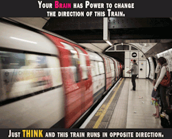 truezodiacfact:  Just Think and Train will Run in Opposite Direction 