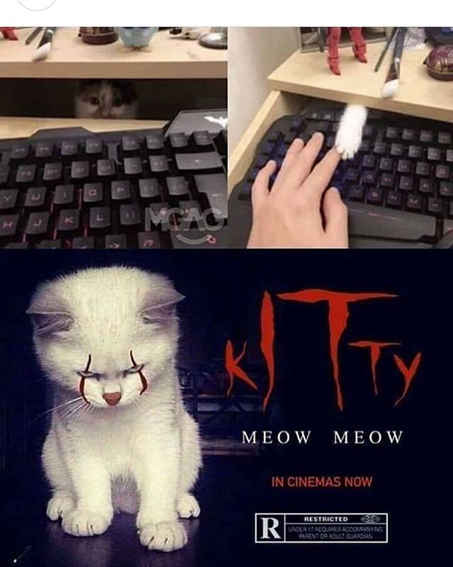 possit-de-tenebris:  badsciencejokes:  The IT cat (it like tech stuff lol) — view