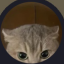 velanijayd