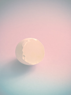 photographersdirectory:  This photo is a still life. A still life with eggshell. I love to photograph it minimalist. My concept is - less is more. 