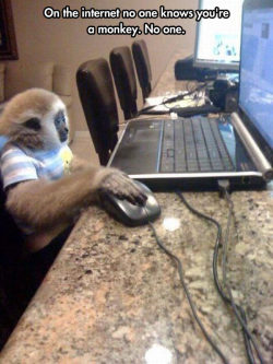 giantgag-official:  Funny pictures of the day (79 pics) On The Internet No One Knows You’re A Monkey