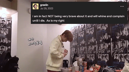 Stray Kids + Textposts (2/?)