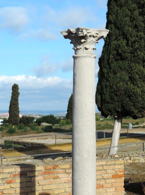 Columna de Corinto y los cipreses, Sitio Arqueológico de Itálica, Sevilla, 2016.I am currently worki