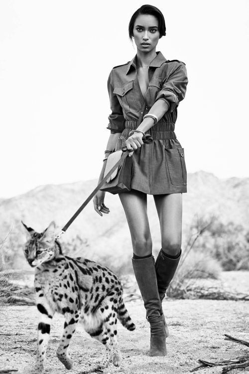 senyahearts:Anais Mali in “On Safari” for Harper’s Bazaar US, March 2015Photographed by: Nathaniel Goldberg 