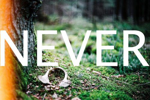 plasmatics:  Never Stop Exploring Nature [via/more] By Skinny Seba