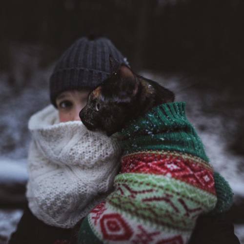 jumpingjacktrash:  cateffectblog:  Winter Adventures www.instagram.com/cat_effect  i want a pattern to knit that kitty sweater <3 