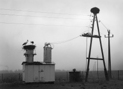  Estonia, 2004, Pentti Sammallahti 