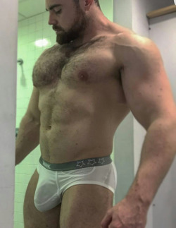 billyraysorensen:  Full pouched muscled bull