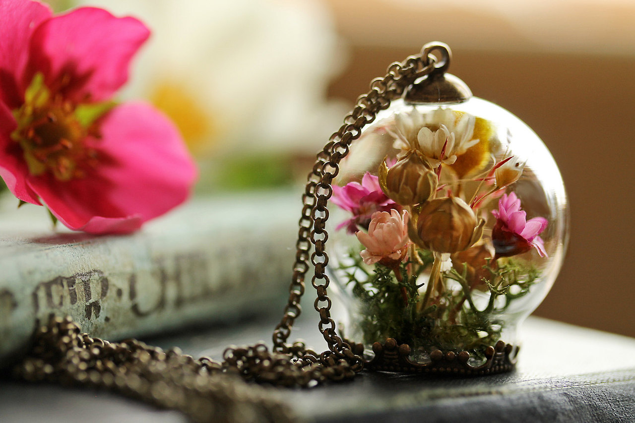 wordsnquotes:  culturenlifestyle: Romantic Crystal &amp; Terrarium  Encapsulated