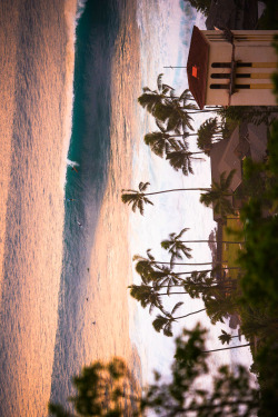 highenoughtoseethesea: Grant Twiggy Baker takes cotton candy WaimeaPhoto: Greg Gyselinck