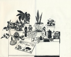 rosewong: Sketchbook ~ Top: Rainy day at home, still life Bottom: The Cloisters 