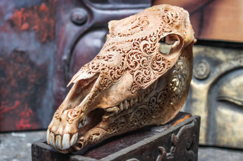 sixpenceee: The above is a hand carved horse skull. 