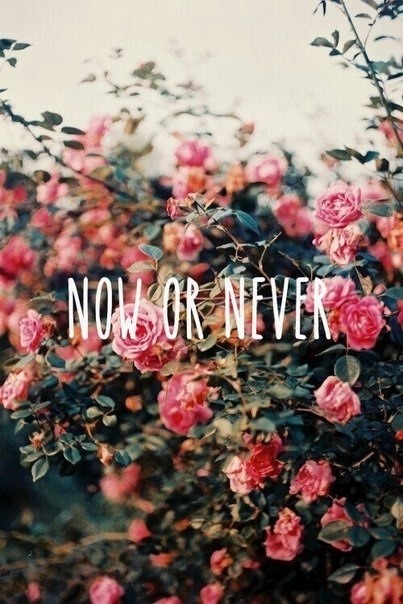 skydoodler:  Untitled on We Heart It. https://weheartit.com/entry/76845614/via/YouCanAndYouWill