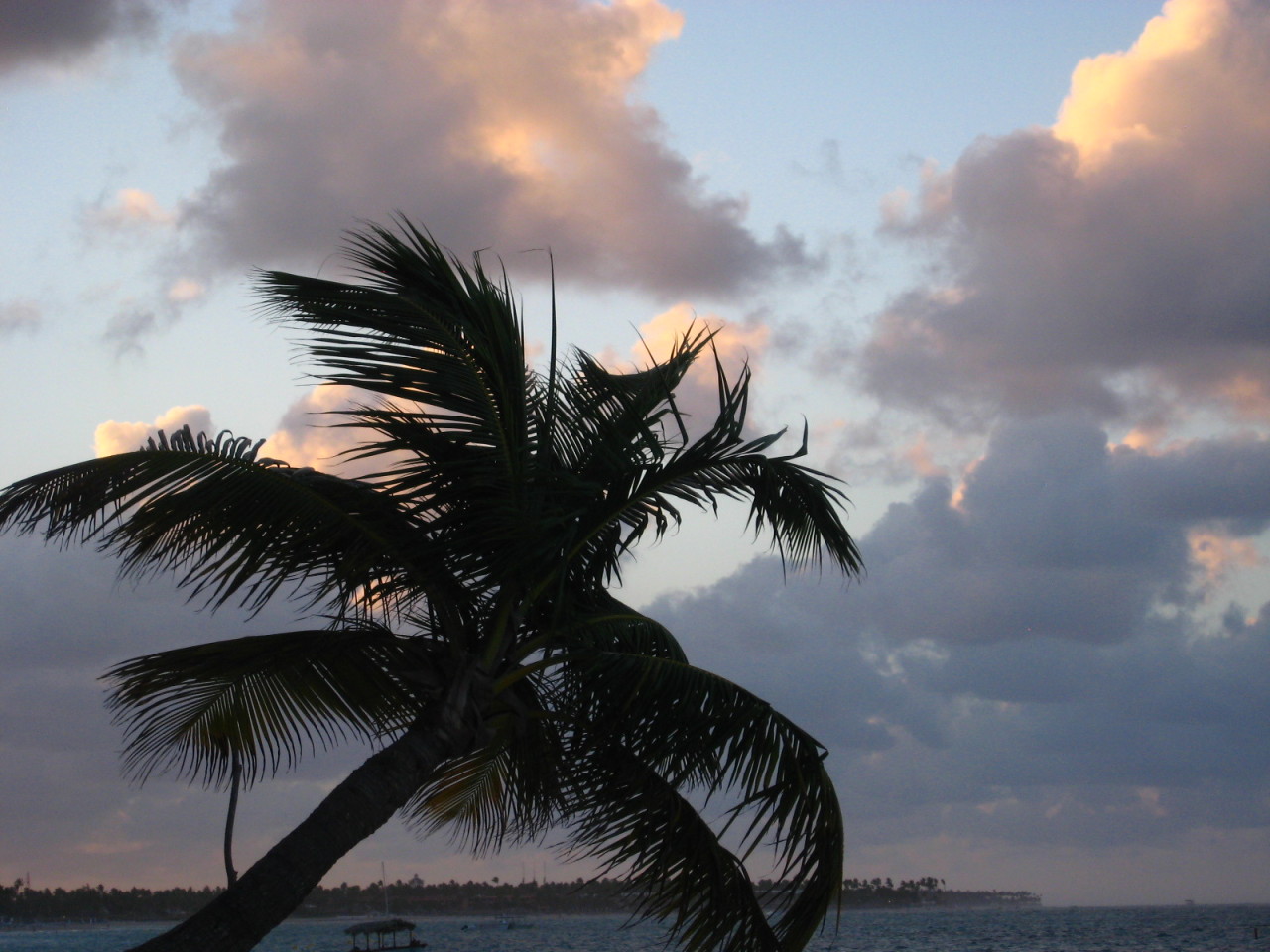 ☼ paradise ☼
