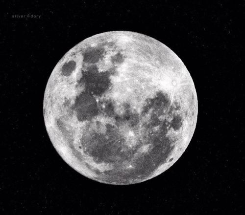 Supermoon … near-infrared light (off the back verandah - hand held) #supermoon #moon #infrare