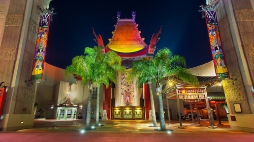 disneyparksource: Walt Disney World | Hollywood Studios | Hollywood Boulevard ↪   The Great Movie Ri