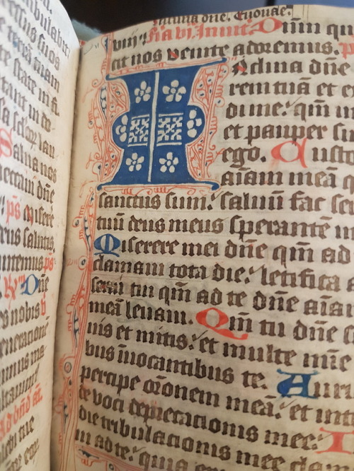 upennmanuscripts:Ms. Codex 655 - [Cistercian liturgical psalter]This manuscript is a psalter, with m