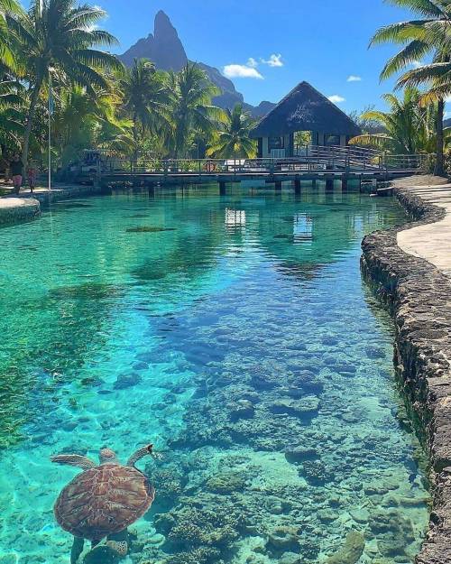 blue–folder:  Bora Bora French Polynesia