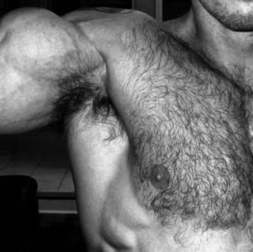 hairyturkishgaymachos:  Ortaya karisik