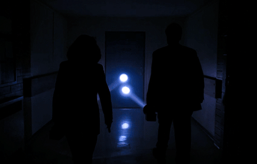 trusttnno1:The X - Files