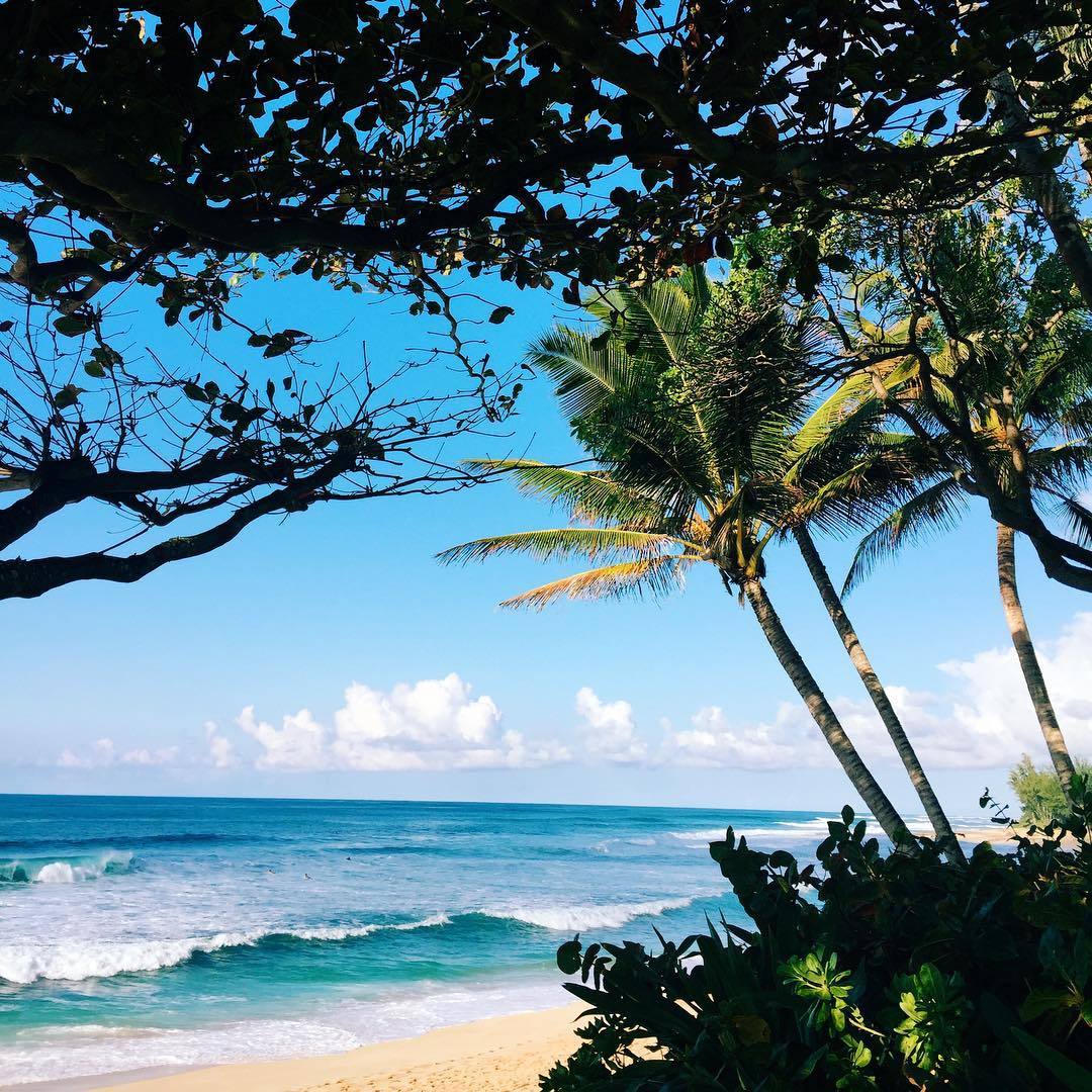 raizdesereia:  🐚 RAIZDESEREIA 🐚