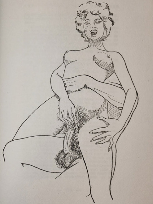 lilit69: Les Vices de Virginie (1959). Roman pornographique illustré clandestin (Losfeld)